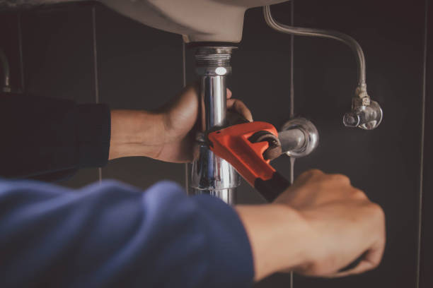 Best Local Plumber Services  in Laurie, MO