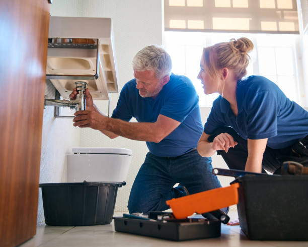 Best Septic Systems  in Laurie, MO